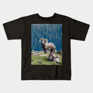 Long horn sheep on a mountain ledge Kids T-Shirt